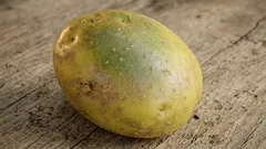Pode comer batatas com manchas verdes? Esclarecemos de uma vez por todas