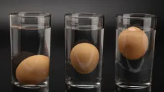 O teste do ovo na água: um truque simples que revela a frescura em 10 segundos