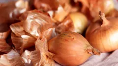 Ainda deita fora as cascas de cebola? Podem substituir as máscaras capilares caras