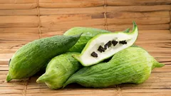 Parede verde comestível: guia prático para ačokča para jardim e terraço