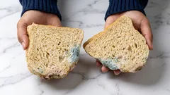 É seguro comer um alimento se apenas cortar o bolor?