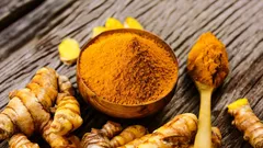 Uma especiaria comum com efeitos nas articulações: o que diz a ciência sobre a cúrcuma
