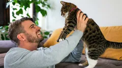 Fala com o seu gato «como se fosse uma criança»? Eis ao que isso pode levar