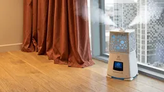 Humidade ideal na habitação: quais os valores realmente importantes