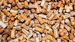 Dica para a casa: como proteger paredes, parquet e nervos em 10 minutos